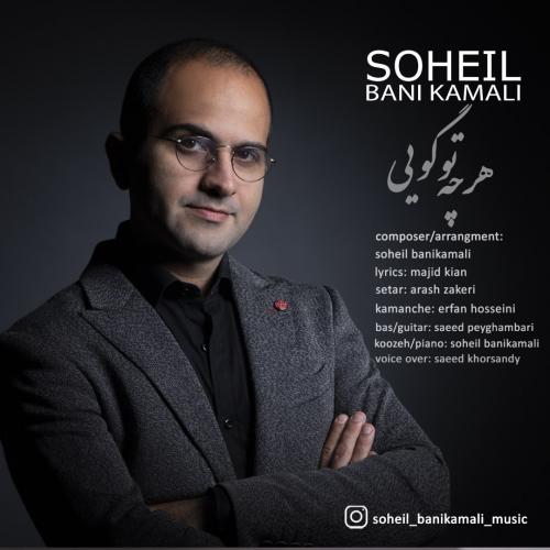 دانلود آهنگ هر چه تو گویی سهیل بنی کمالی